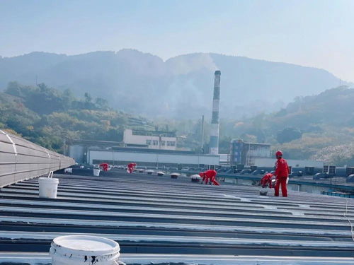 工程進度 正川股份防水維修工程施工現(xiàn)場圖集
