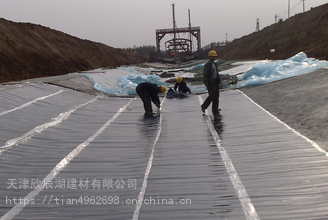 南開區(qū)平房鋪油氈 防水補漏 專業(yè)團隊施工