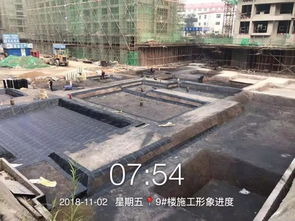 綠城 誠園最新工程播報 時間成就精品,匠心筑造品質