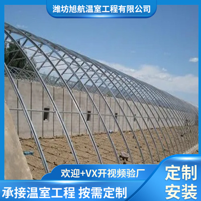 蔬菜鋼管鍍塑溫室大棚 工廠專業(yè)預(yù)算 施工隊(duì)隨時可建設(shè)