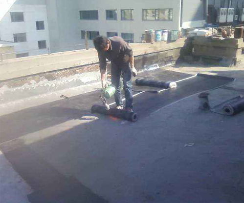 石牌鎮(zhèn)k11通用型防水涂料 鐘祥仝仝建設(shè)工程公司