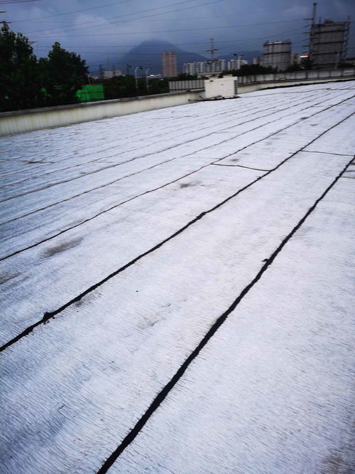 無(wú)錫市防水公司一濱湖區(qū)防水補(bǔ)漏公司專(zhuān)業(yè)施工團(tuán)隊(duì)