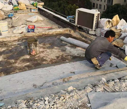 專業(yè)衛(wèi)生間地下室奉賢區(qū)防水補漏外墻防水工程施工公司